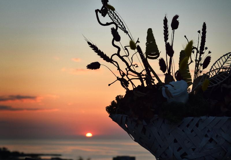 호텔 Del Mar Venus