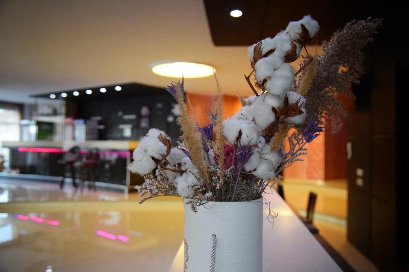 호텔 Del Mar Venus