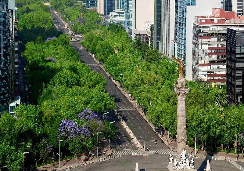 בית מלון כפרי Ibis Styles Mexico Reforma