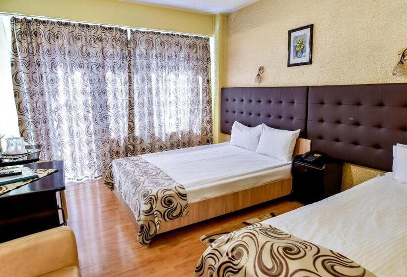 Motel Perla Sigheteana