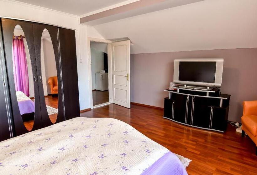 Motel Perla Sigheteana