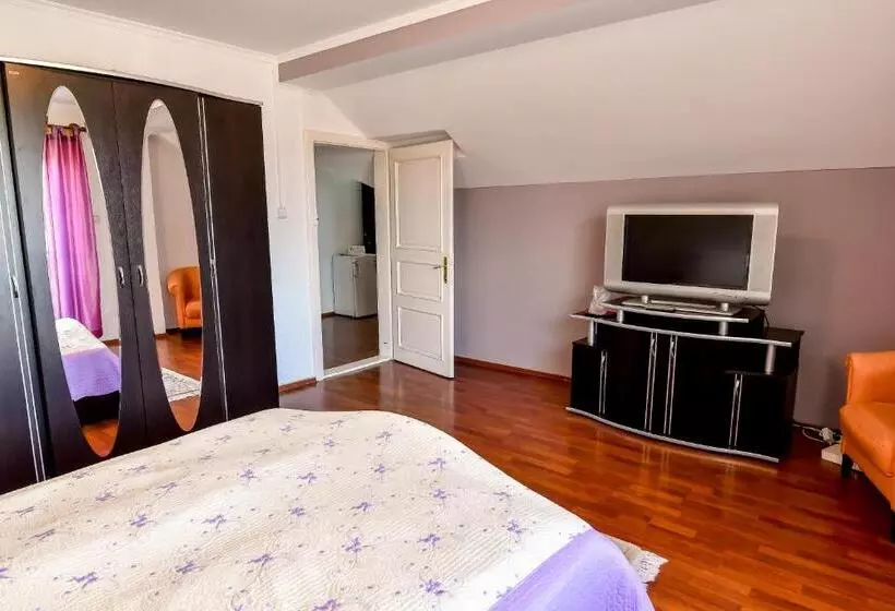 Motel Perla Sigheteana
