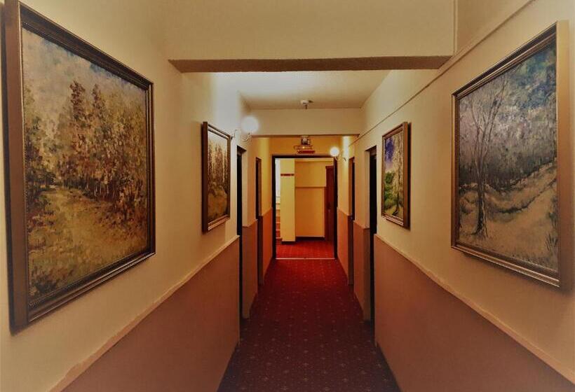 Motel Perla Sigheteana