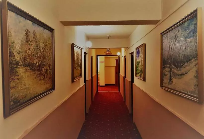 Motel Perla Sigheteana