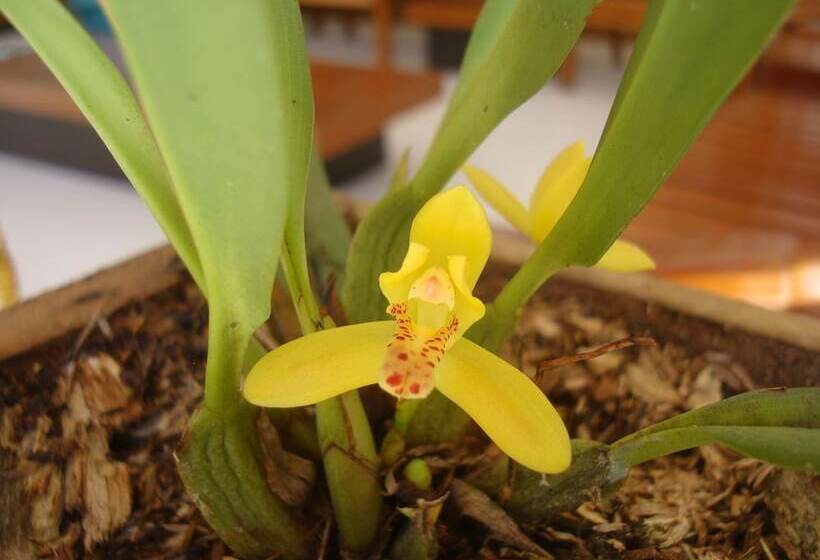 Altavista Casahotel   Asociado Casa Andina