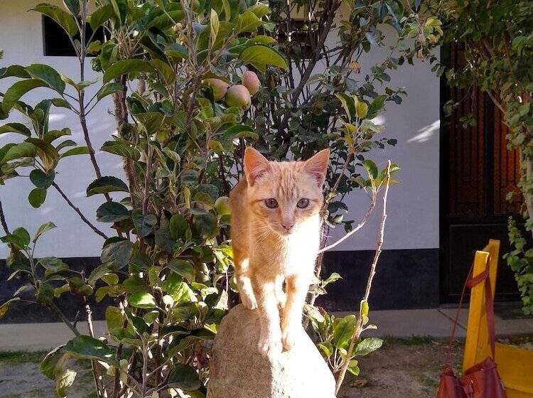 צימר Hostal Casa Del Montanista