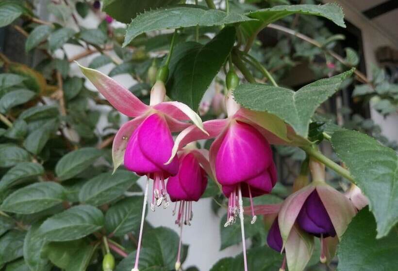 צימר Hostal Casa Del Montanista