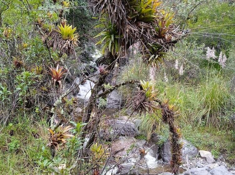 צימר Hostal Casa Del Montanista