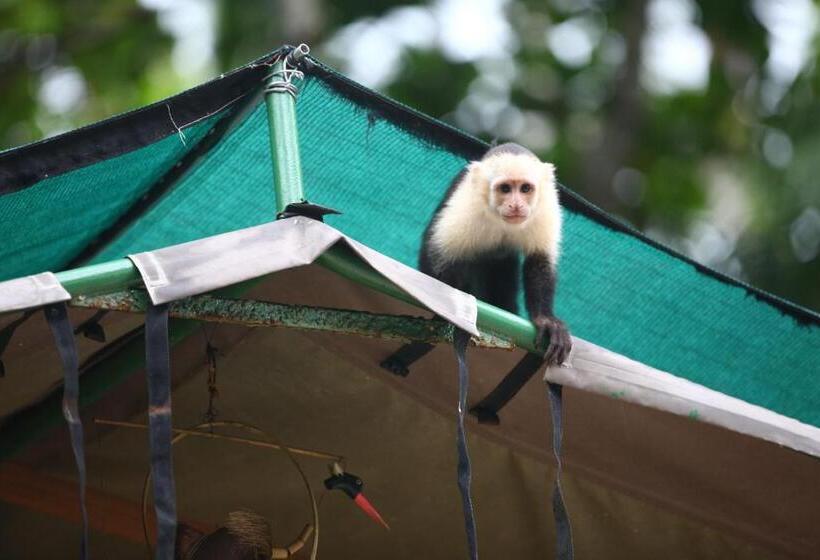 ベッドアンドブレックファースト Rafiki Beach Camp