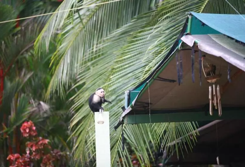Aamiaismajoitus (B&B) Rafiki Beach Camp