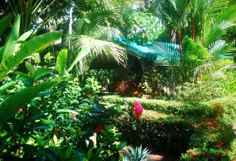 Aamiaismajoitus (B&B) Rafiki Beach Camp