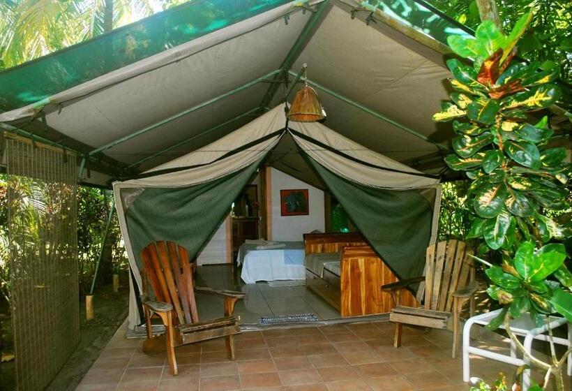 ベッドアンドブレックファースト Rafiki Beach Camp