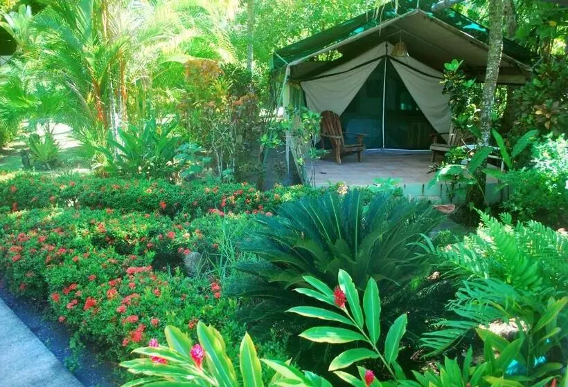 Aamiaismajoitus (B&B) Rafiki Beach Camp