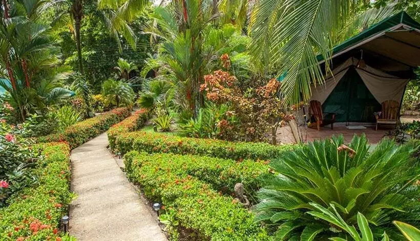 Aamiaismajoitus (B&B) Rafiki Beach Camp