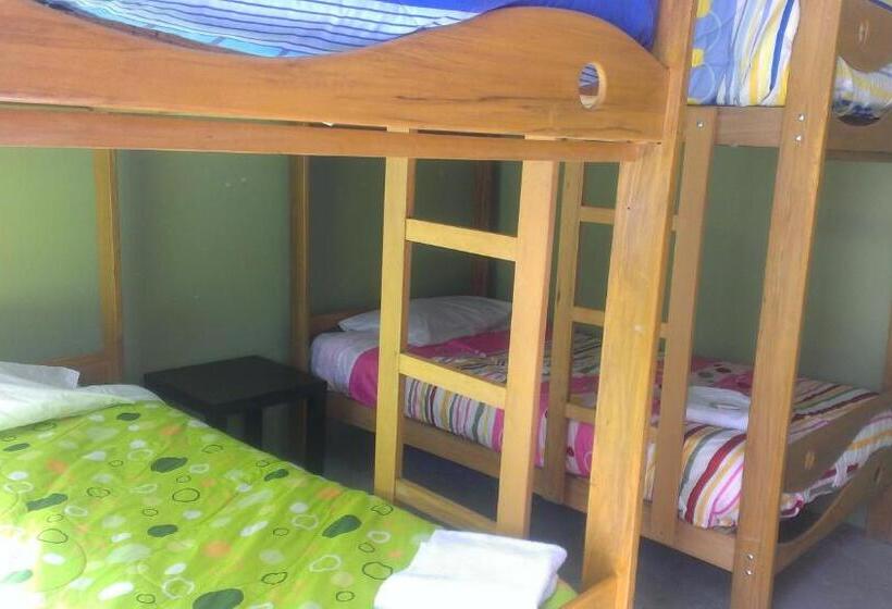 El Buen Samaritano Backpackers   Hostel