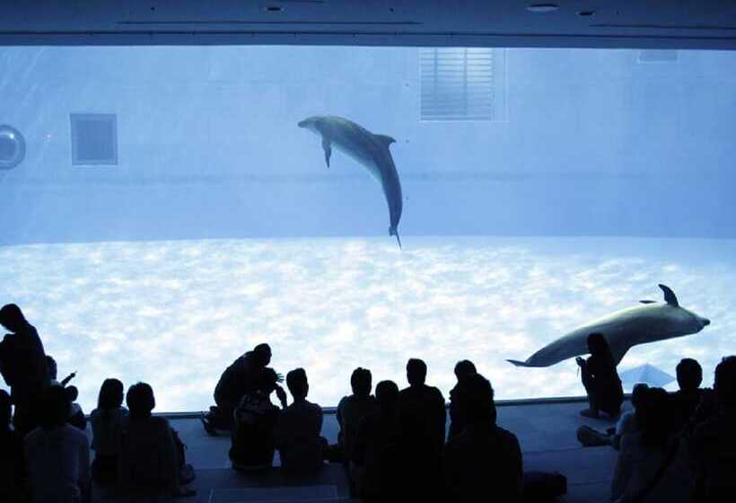 فندق Meitetsu Inn Nagoyaeki Shinkansenguchi