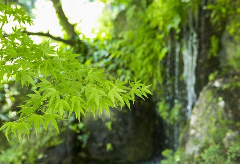 료칸 Yugawara Manyoso