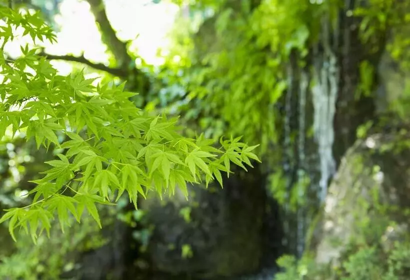 Ryokan Yugawara Manyoso