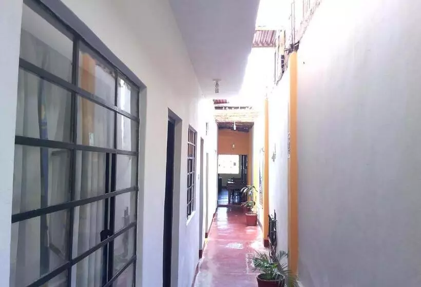 ベッドアンドブレックファースト Brabant Hostal