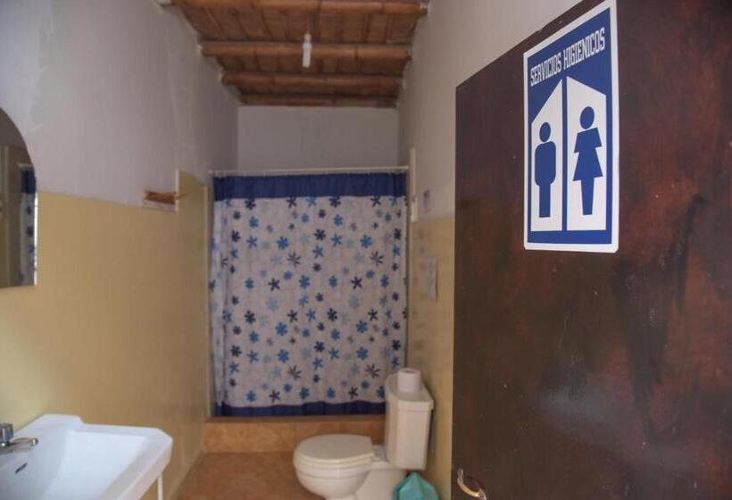 Aamiaismajoitus (B&B) Brabant Hostal