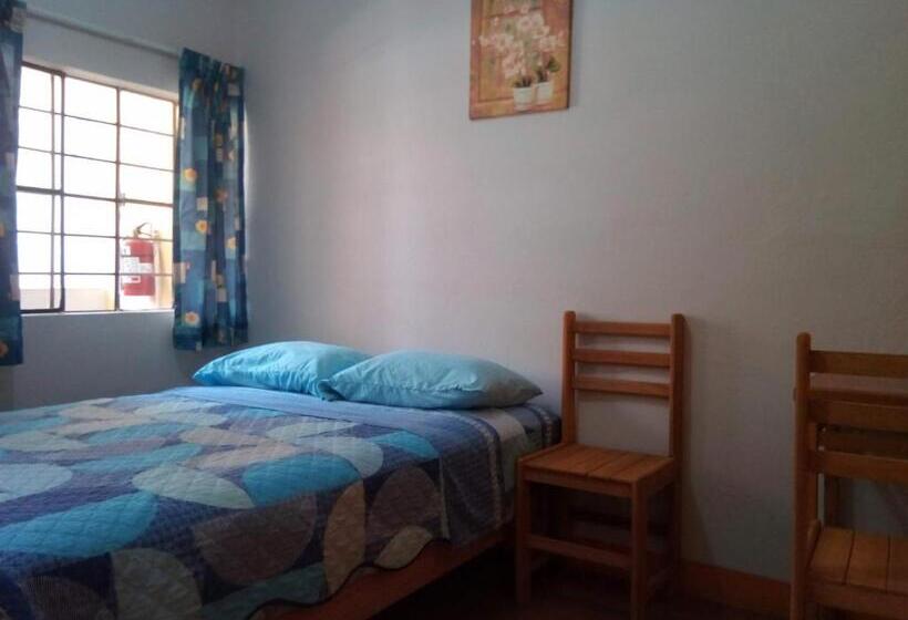 Aamiaismajoitus (B&B) Brabant Hostal