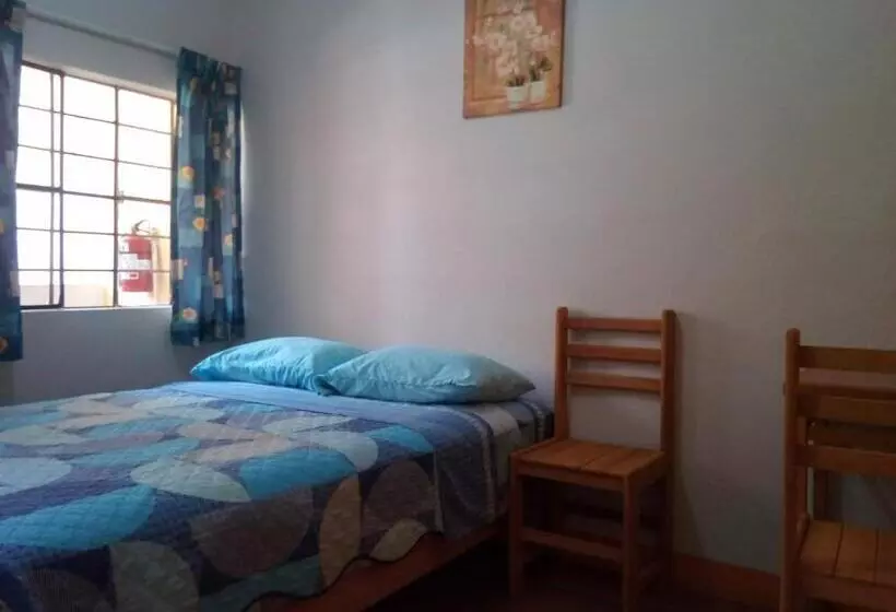 ベッドアンドブレックファースト Brabant Hostal