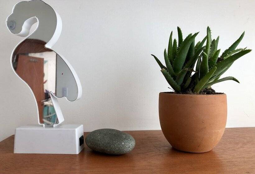 צימר Froguesthouse