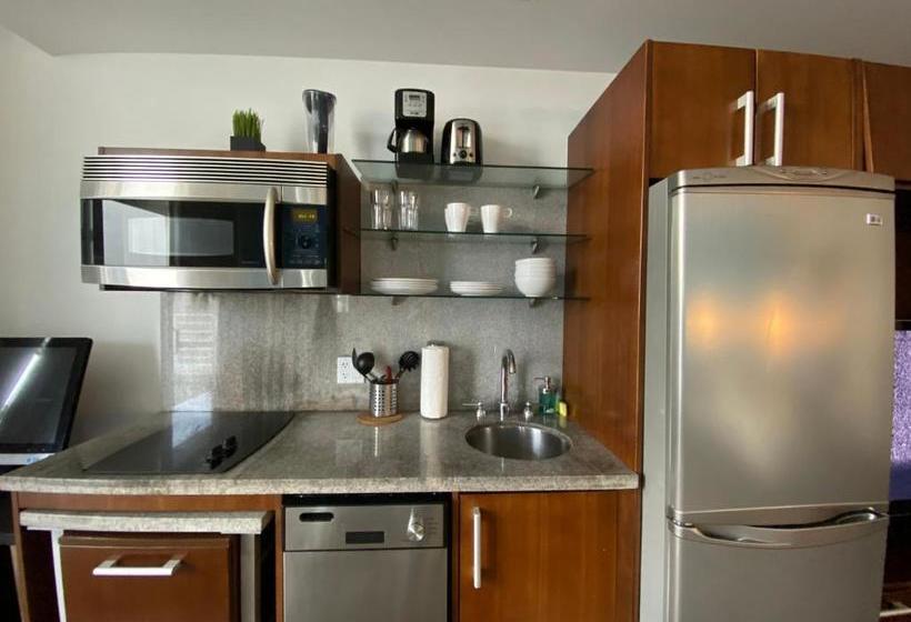 Suites At Congress Ocean Drive