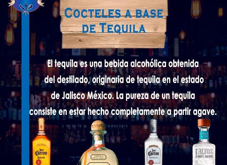 Отель Barcelona Chinauta