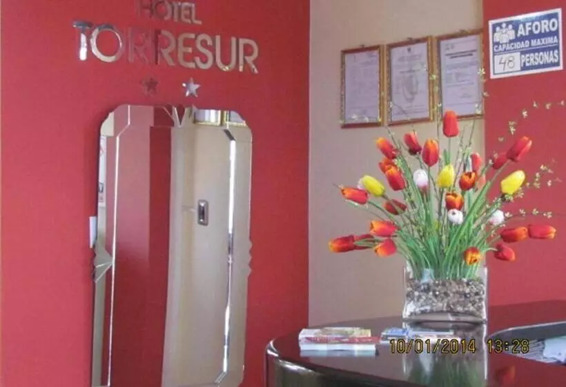 ホテル Torresur Tacna