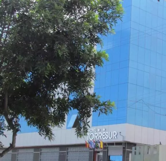 ホテル Torresur Tacna