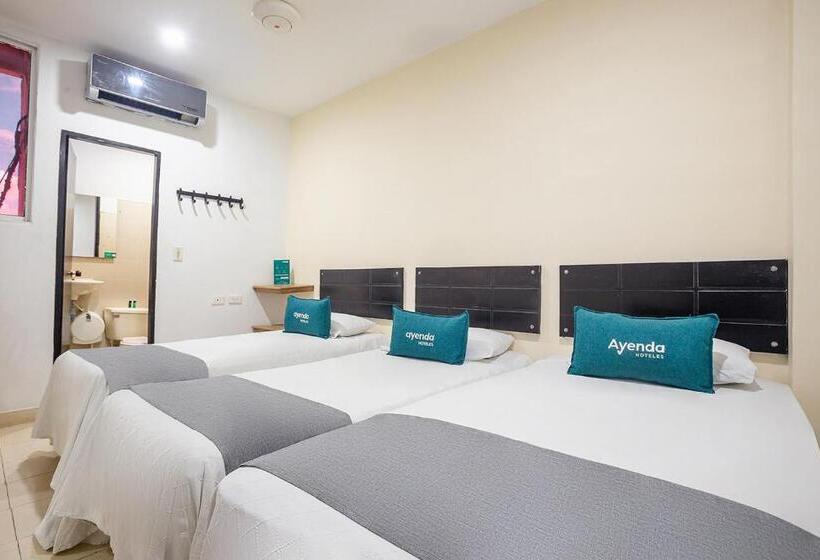 هاستل Ayenda Hotel Alejandría