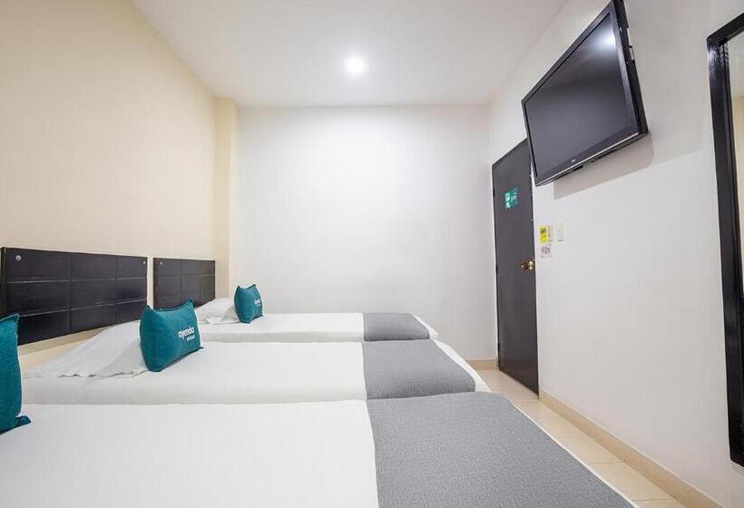 هاستل Ayenda Hotel Alejandría