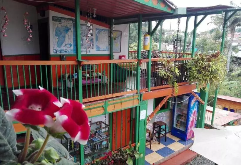 ユースホステル Hostal Estrella De Agua