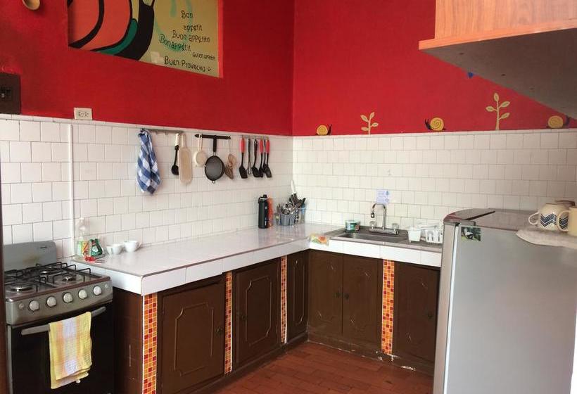 هاستل El Caracol