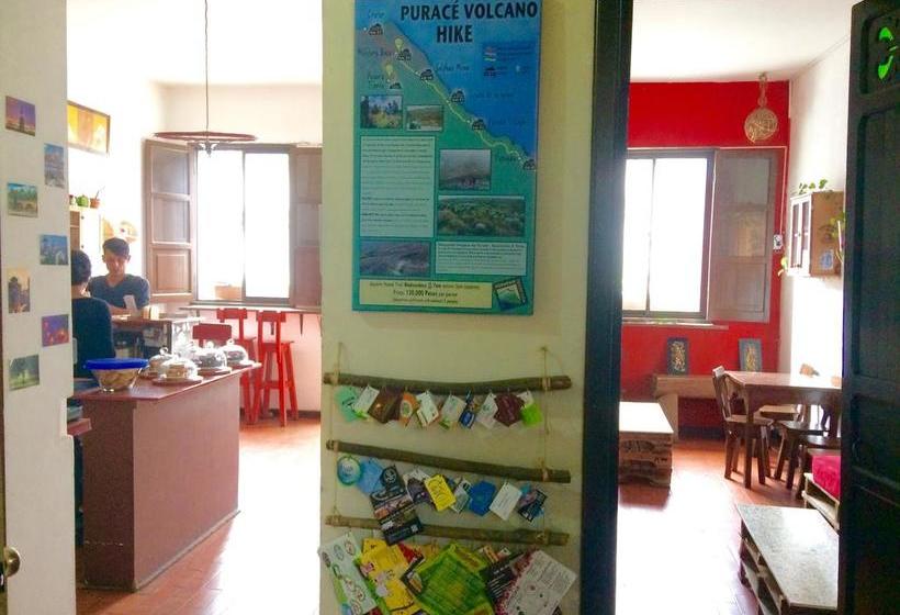 هاستل El Caracol