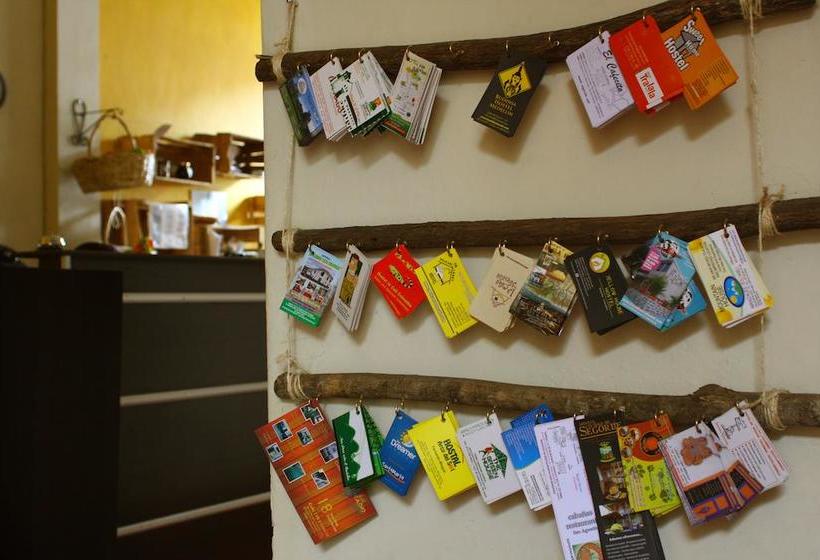 هاستل El Caracol