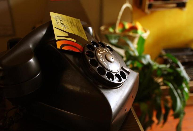 هاستل El Caracol