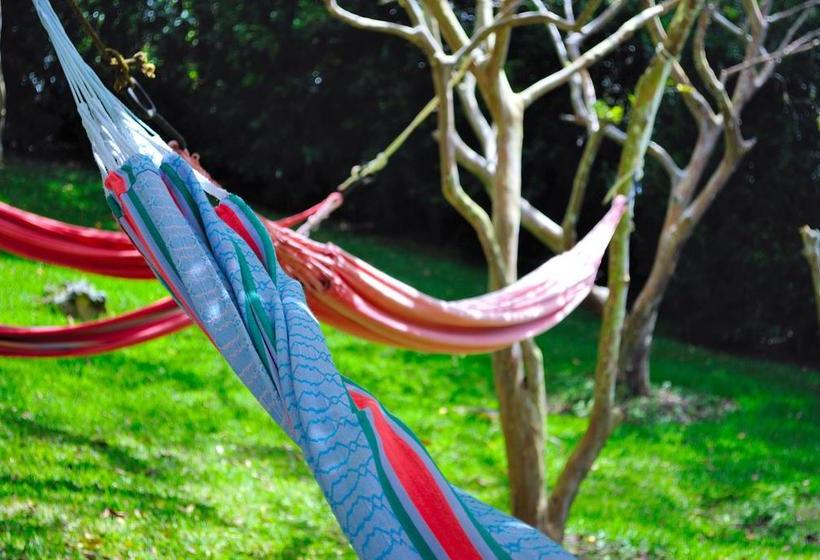 هتل Boutique Wassiki Campestre