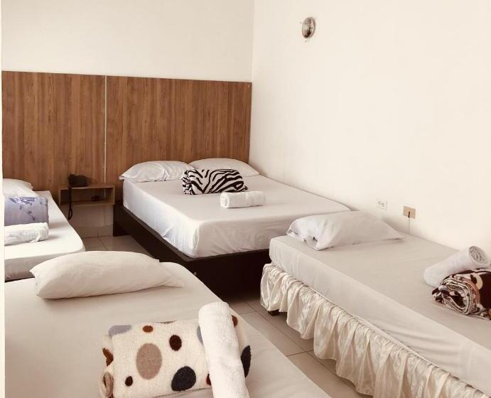 Отель Center Plaza Plus