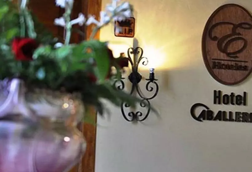 Hotelli E Caballeriza