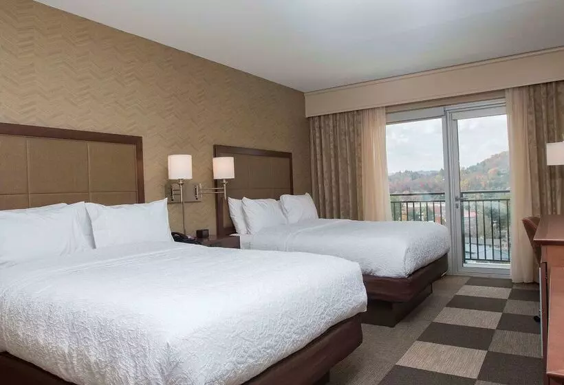 ホテル Hampton Inn & Suites Boone