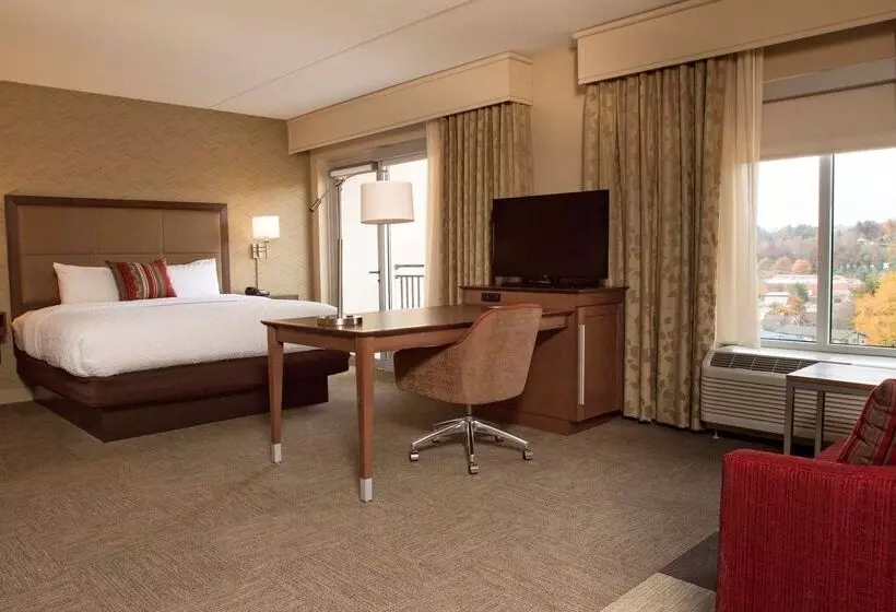 ホテル Hampton Inn & Suites Boone