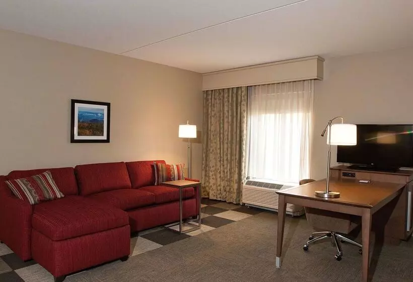 ホテル Hampton Inn & Suites Boone