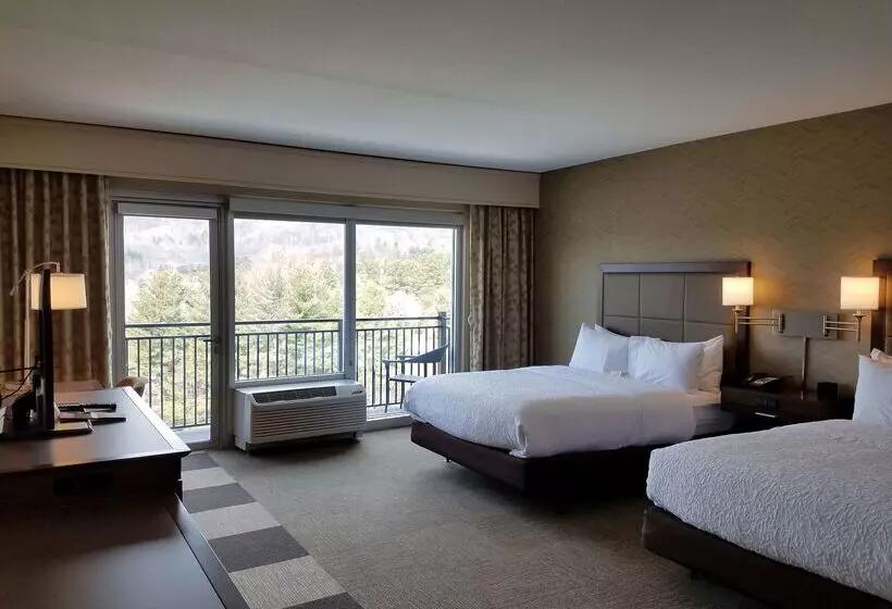 ホテル Hampton Inn & Suites Boone