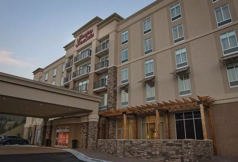 ホテル Hampton Inn & Suites Boone