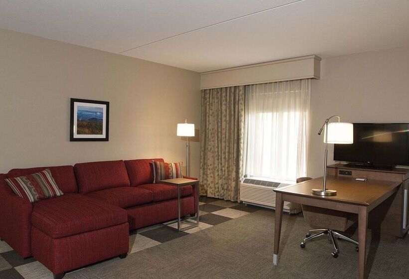 فندق Hampton Inn & Suites Boone