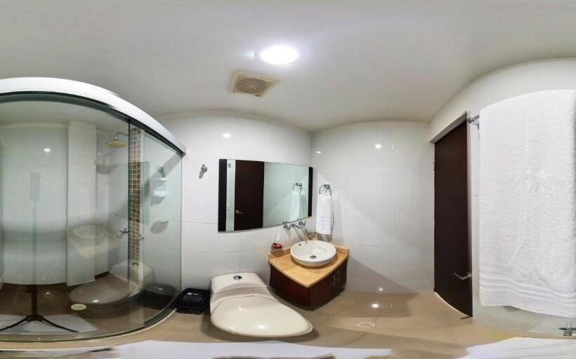 酒店 Ipanema Meridian