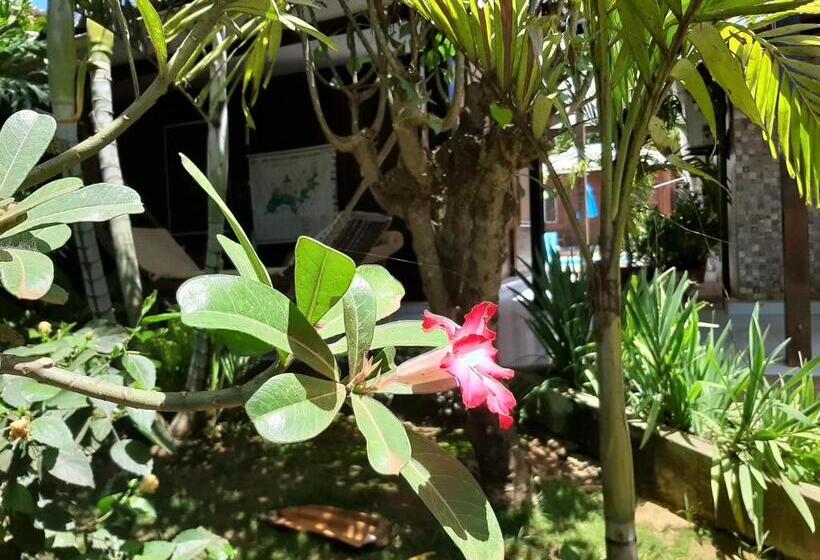 هتل Pousada Das Flores