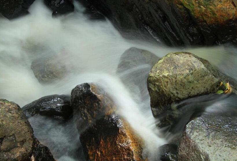 פנסיון Leaves Lodge And Spa